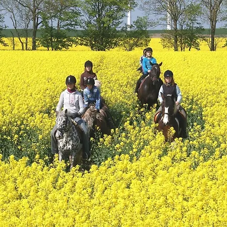 Feriengut Gaarz - Stellmacherei 27 Appartement Gohl