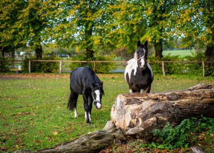 Feriengut Gaarz - Stellmacherei 27 Gohl