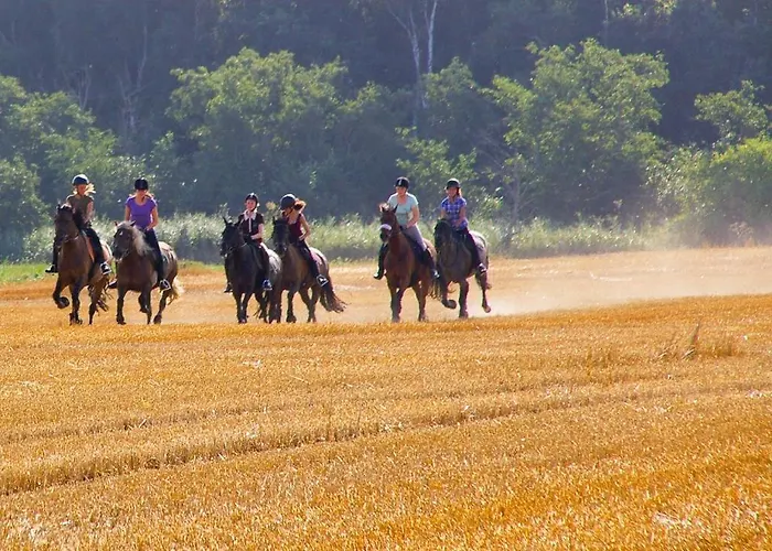 Feriengut Gaarz - Stellmacherei 27 Gohl