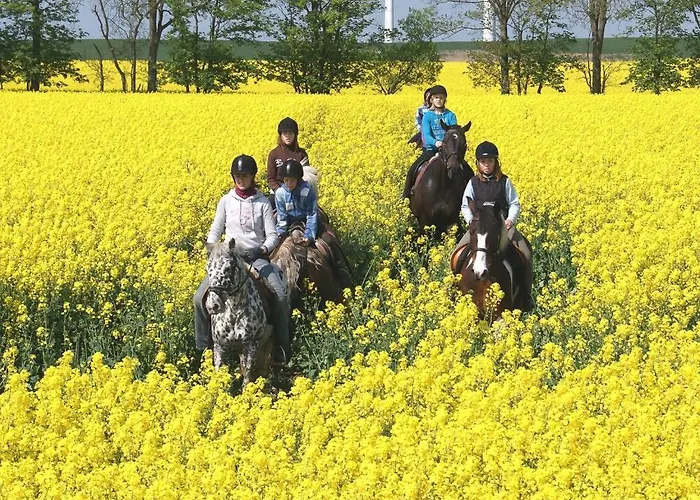 Feriengut Gaarz - Stellmacherei 27 Appartement Gohl